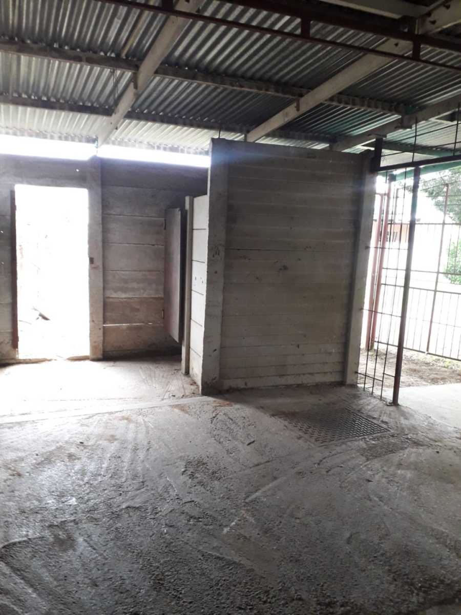 To Let 3 Bedroom Property for Rent in Morewag Free State